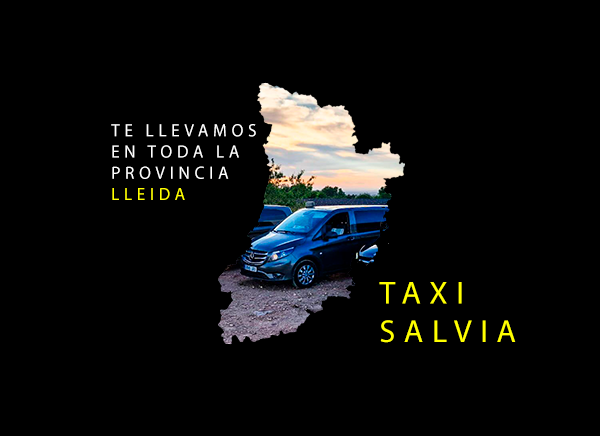 taxi en toda la provincia de Lleida